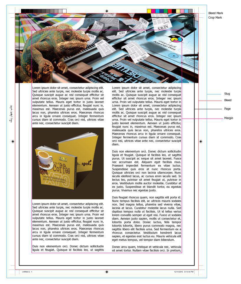 photo_2016-12-30_01-00-41