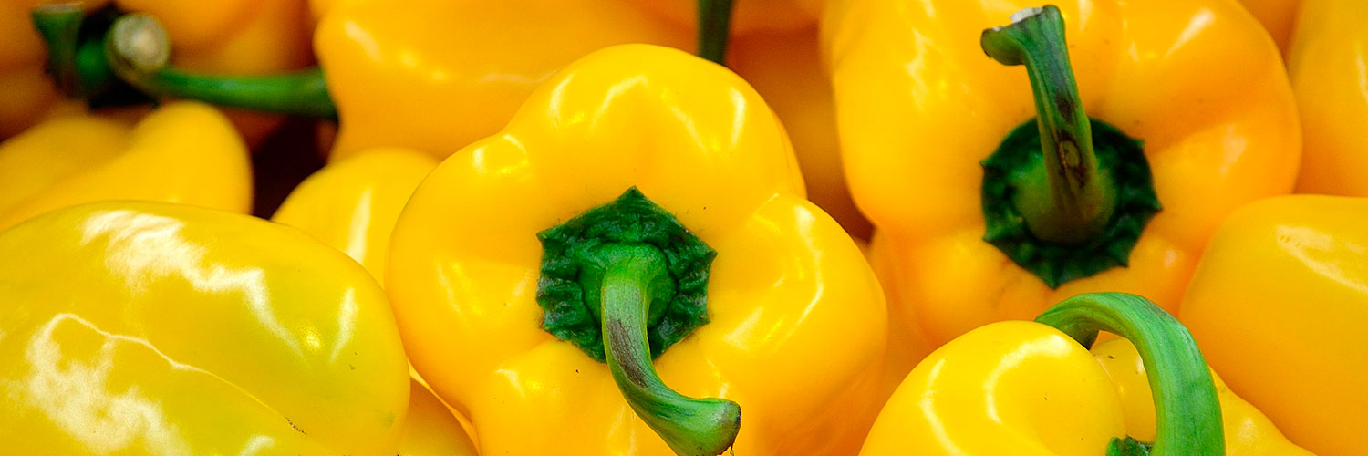 7ad8ab1db592fda253084f1ce7d1619f