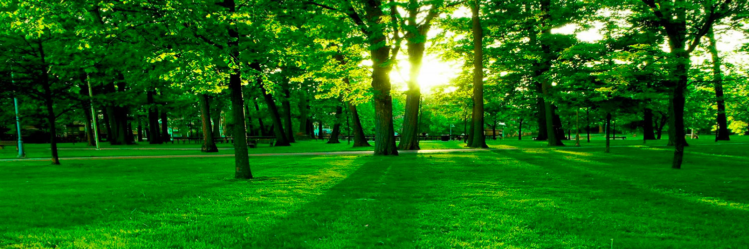 98499d_20d0eaa6adef4e228d2c656760e632cf