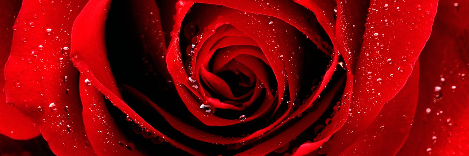 d36b181ffabb71db65f05e364609b768